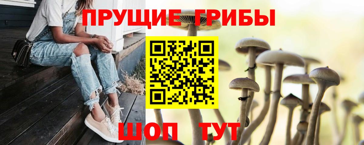 Псилоцибиновые грибы Cubensis  хочу   Реж  Вход с VPN 